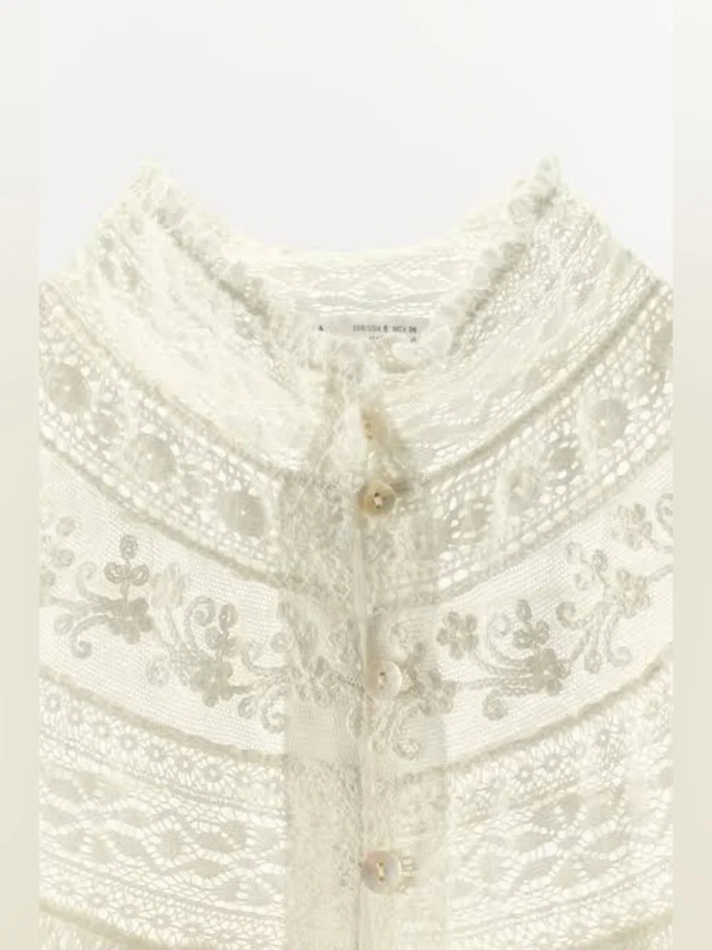 Zara Embroidered Lace Pleated Blouse
